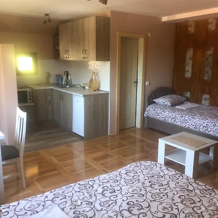 Bogdanovic Apartment Mokra Gora