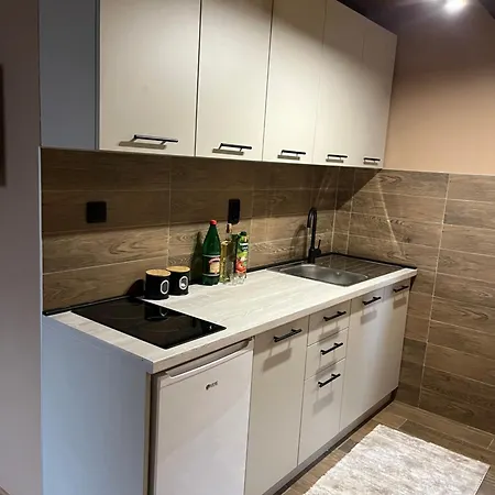 Bogdanovic Apartment