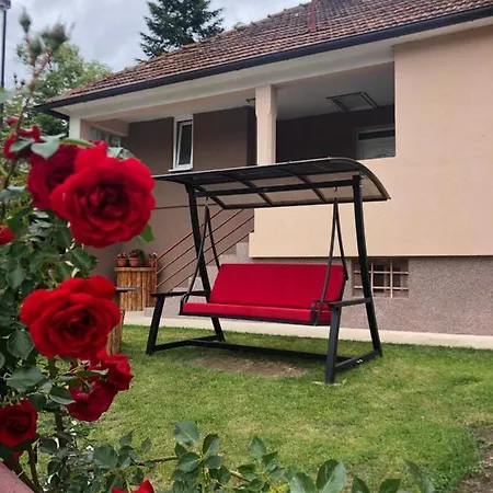 Bogdanovic * Mokra Gora